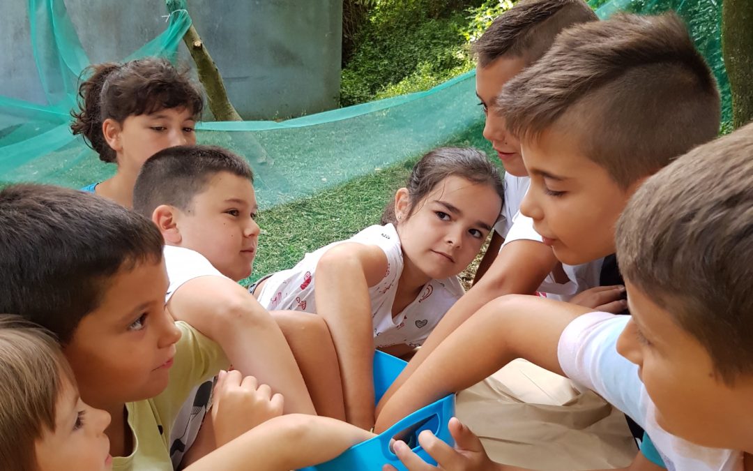 Transformando a vila traballando ELEMENTOS NATURAIS