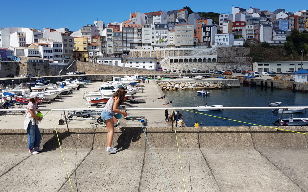Traballando coa LIÑA