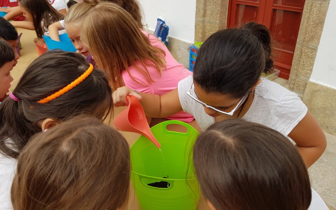 Transformando a cidade traballando ELEMENTOS NATURAIS