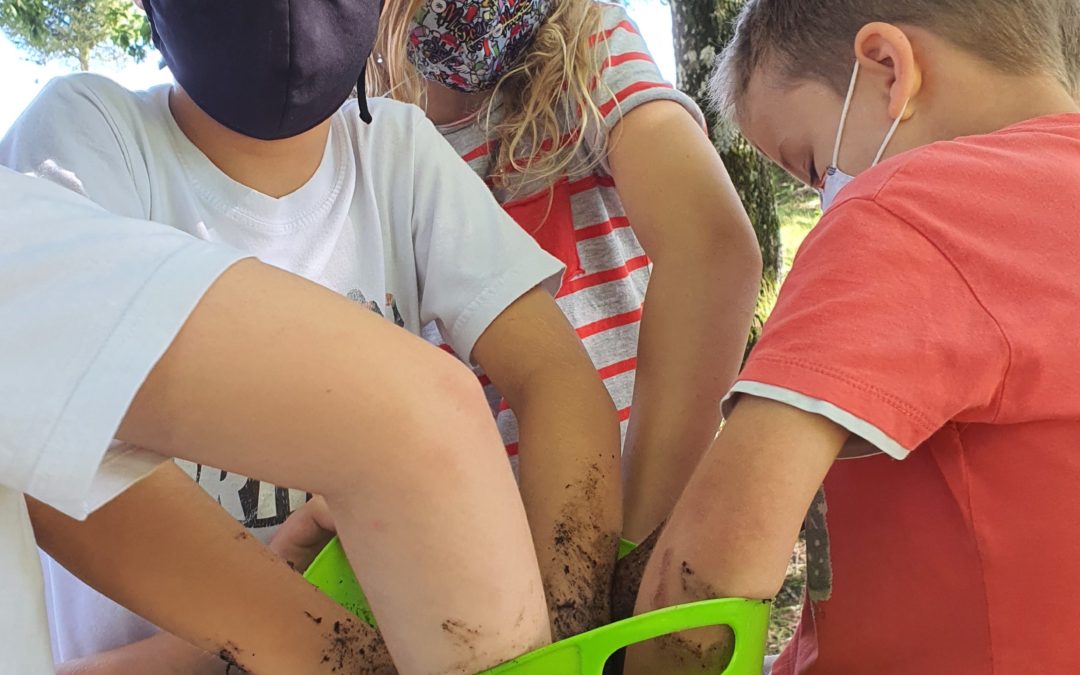 Transformando a vila traballando cos ELEMENTOS NATURÁIS