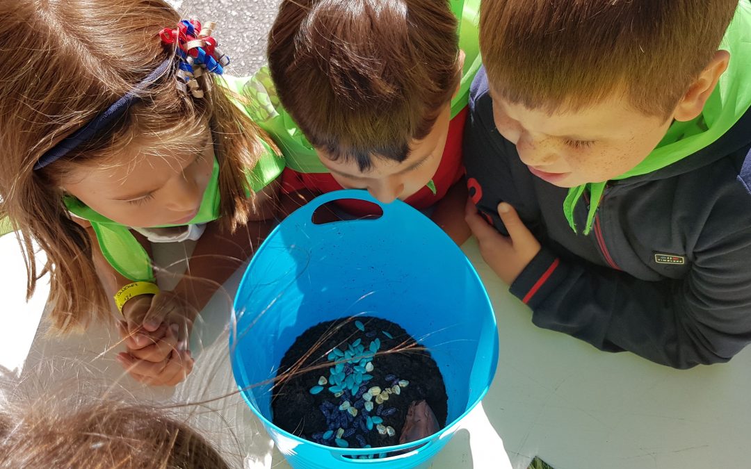 Transformando a cidade traballando ELEMENTOS NATURAIS