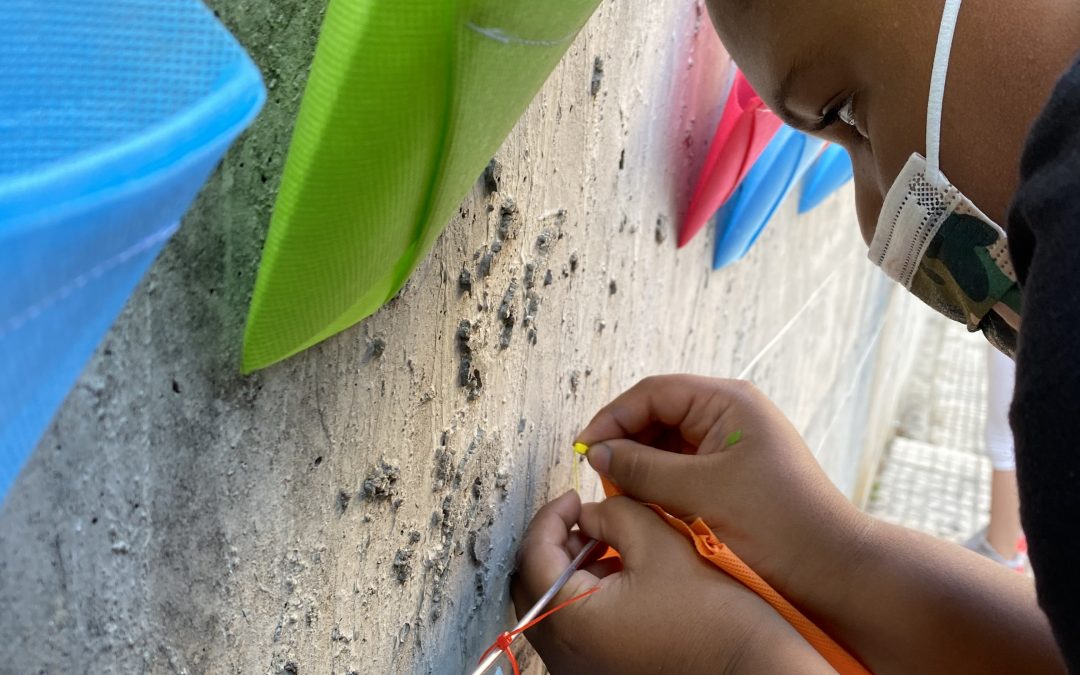 Transforming the urban landscape
