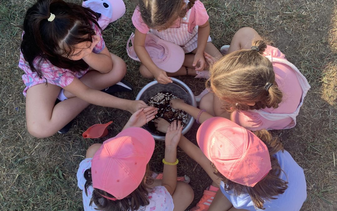 Transforming the village by working with the NATURAL ELEMENTS