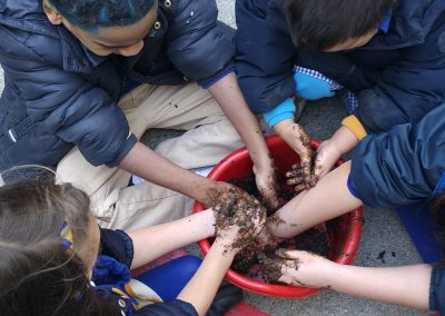 Transformando o patio traballando cos ELEMENTOS NATURAIS