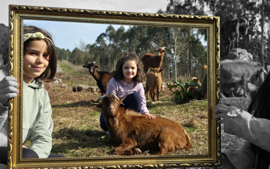 4º PRIMARIA