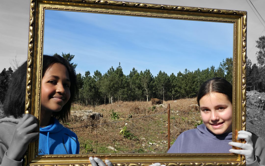 6º PRIMARIA