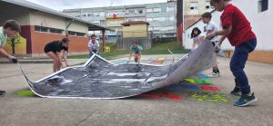 A-Vila-do-Mana-Ponteareas-CEIP-Bouza-Rey-5o-6o-Primaria-33